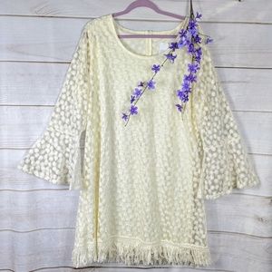 Indigo Soul Ivory Lace Embroidered Dress